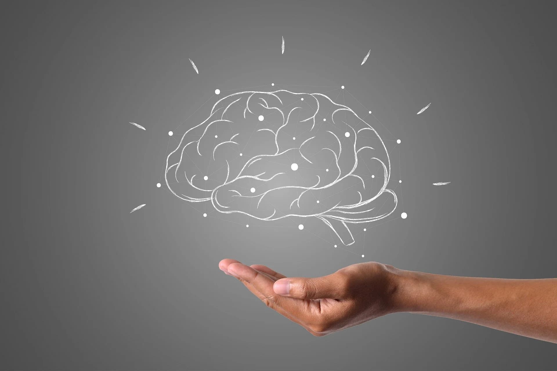 Neurotransmissores – O que São e Como Funcionam