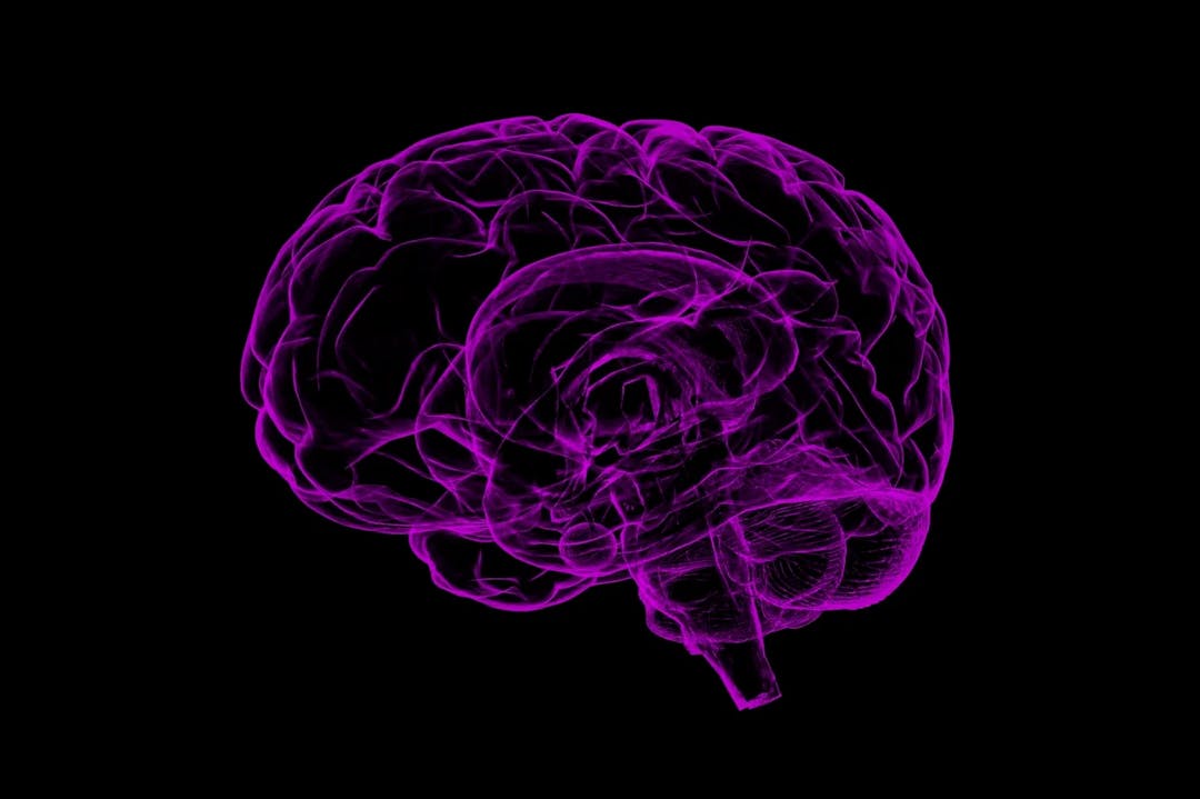 O que é Neuroplasticidade e Porque ela é Importante