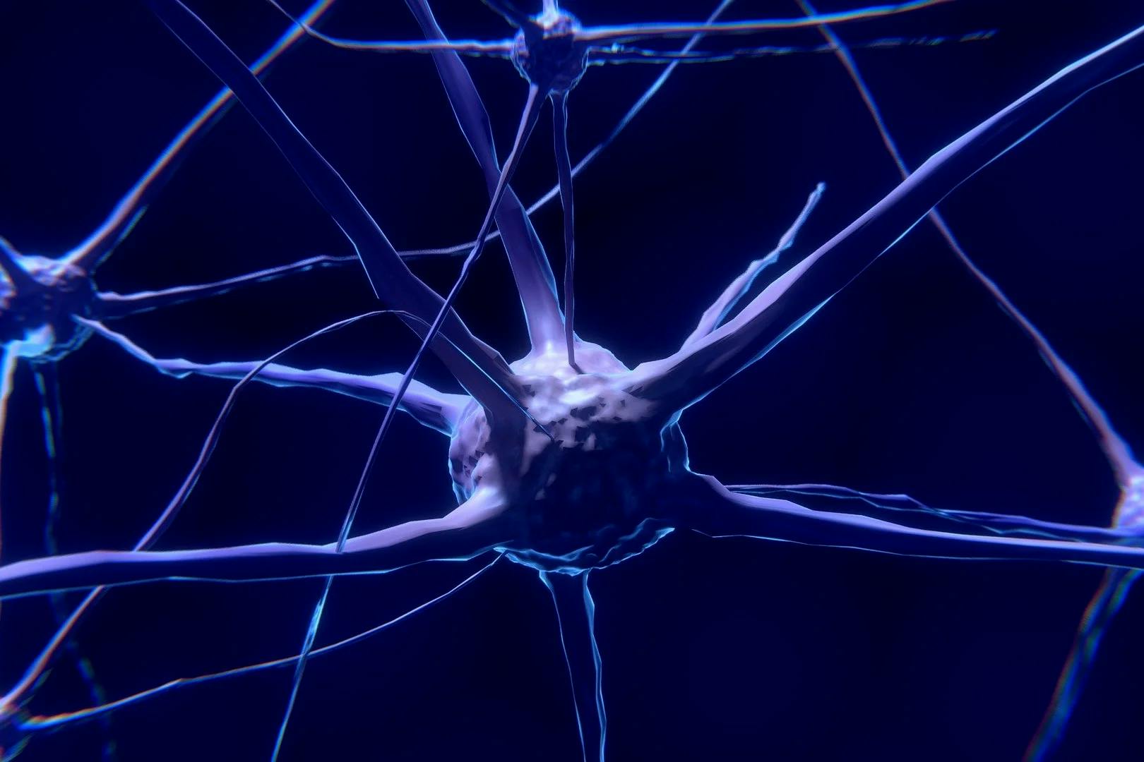 O que são Neurônios?