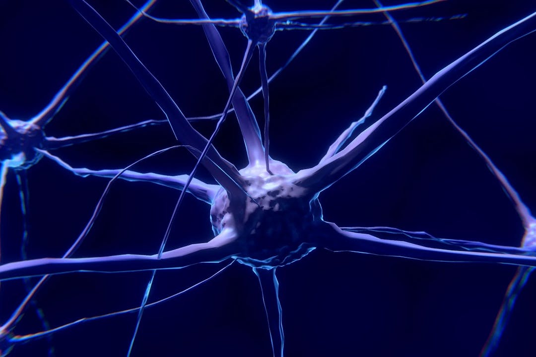 O Que É o Potencial de Ação de Um Neurônio?